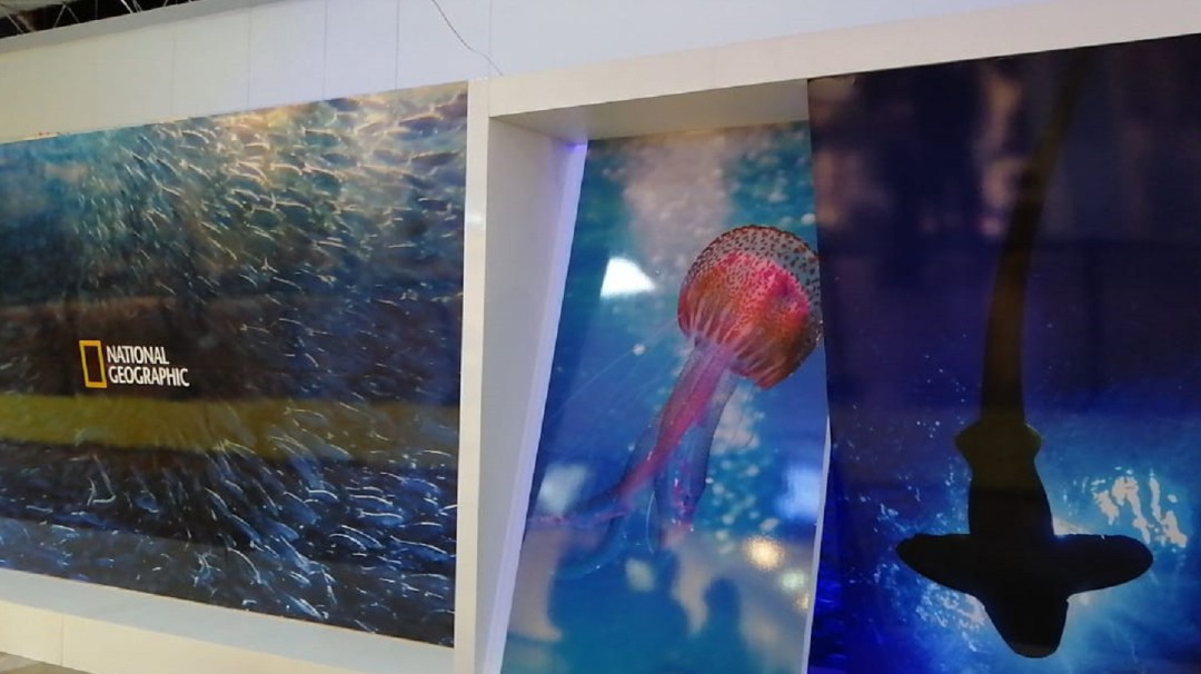"Alma del Océano", la exhibición de National Geographic en Multicentro