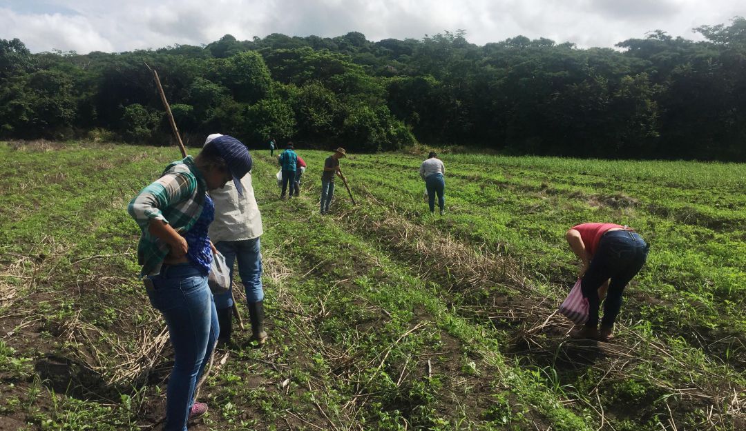 Estudiantes de Agronomía