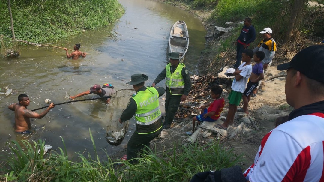 Bajos niveles del río Magdalena, afectan la cría de peces en el Atlántico