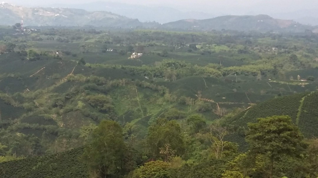 La mitad de las fincas en Caldas no tienen sus escrituras legalizadas