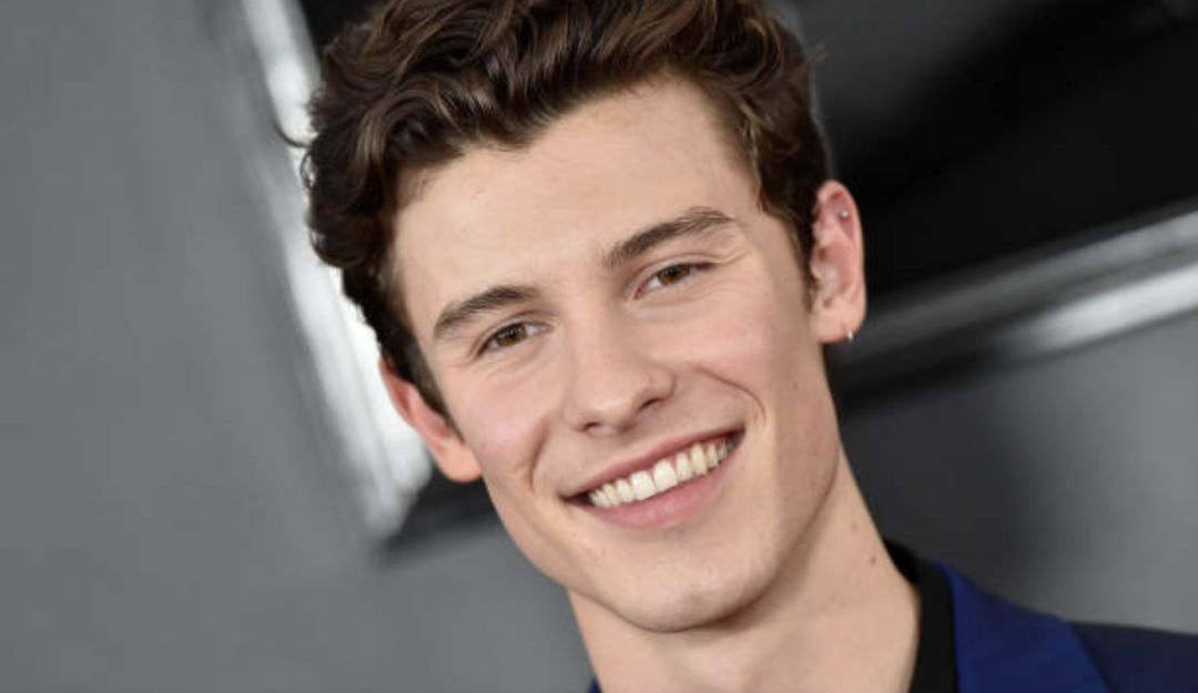 Shawn Mendes Calvin Klein: ¡Lo quieren ver siempre así! Shawn Mendes en boxers