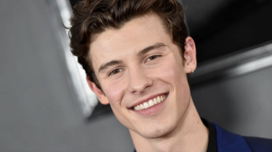 ¡Lo quieren ver siempre así! Shawn Mendes en boxers