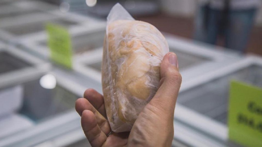 Imponen controles al comercio del caracol pala