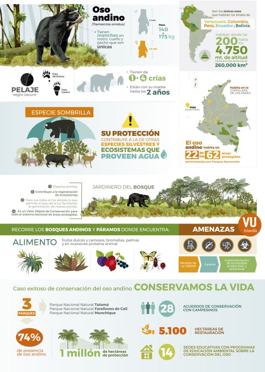 #PonteLosAnteojosPorLaVida: ¡Feliz día! Día Mundial para la Protección del Oso de Anteojos #PonteLosAnteojosPorLaVida: ¡Feliz día! Día Mundial para la Protección del Oso de Anteojos
