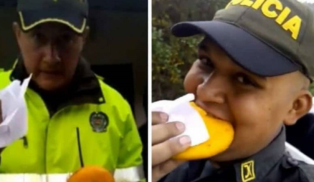 Estas son las famosas imágenes que hacen reír a miles de usuarios.