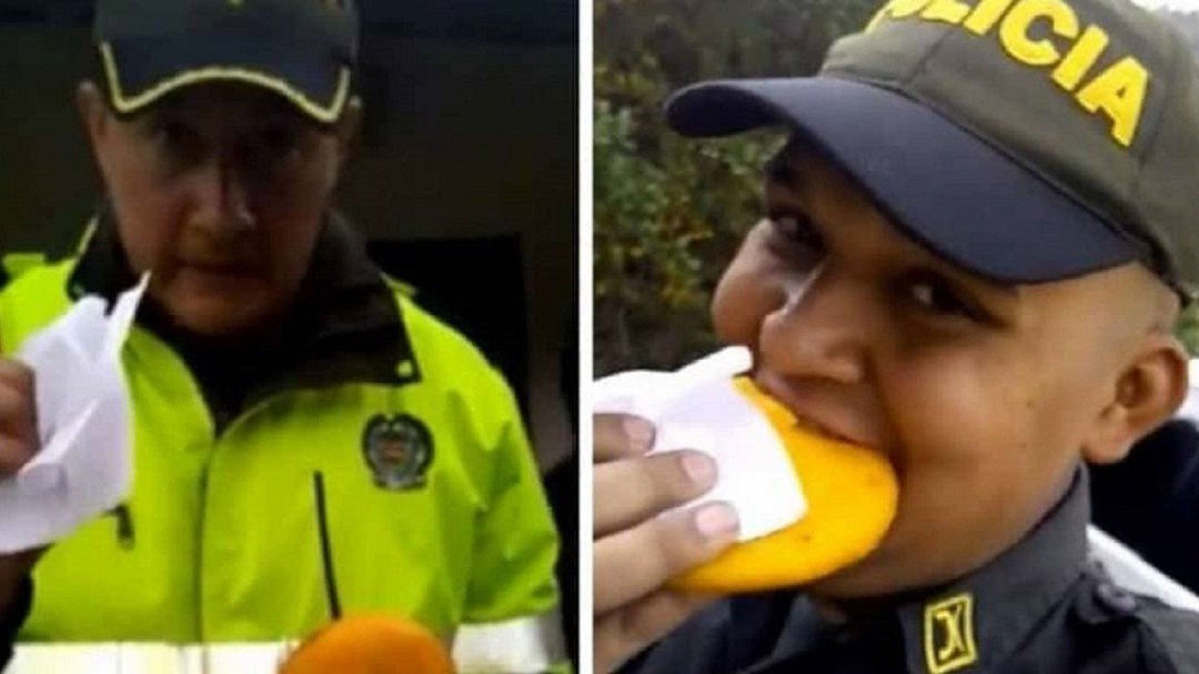 ¡De no creer! Así muestran cómo hacer una prueba ‘anti empanada'