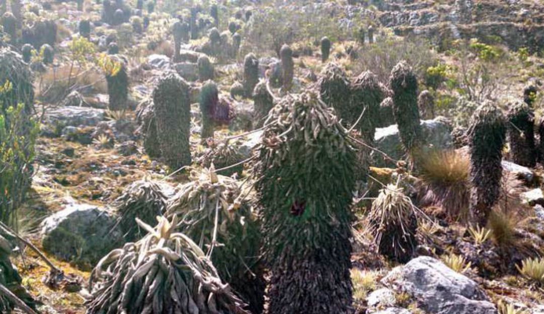 PND recibirá demandas por protección de páramos