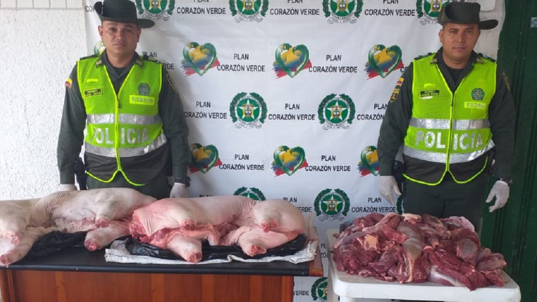 Policía incauta carne en Montería que no era apta para consumo