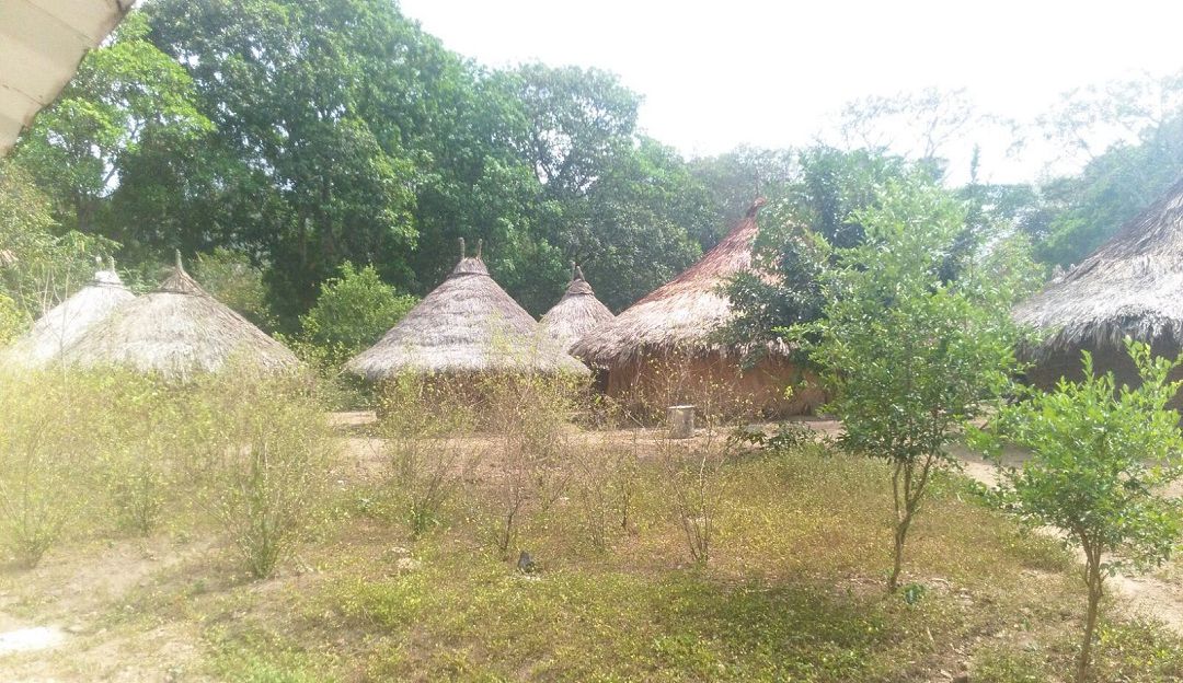 2 pueblos indígenas arrasados por incendio en Sierra Nevada de Santa Marta: 2 pueblos indígenas arrasados por incendio en Sierra Nevada de Santa Marta