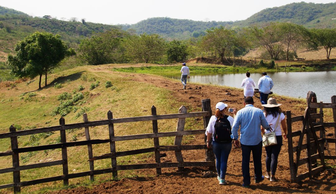 Unidad de Restitución de Tierras: Unidad de Restitución de Tierras adelanta compra de predios en Bolívar
