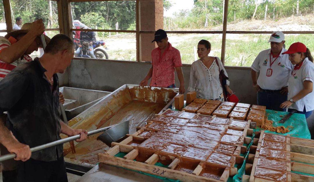 Producción de panela en Caquetá