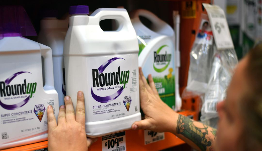 Uso glifosato: Autoridad sanitaria de Brasil descarta que glifosato sea cancerígeno
