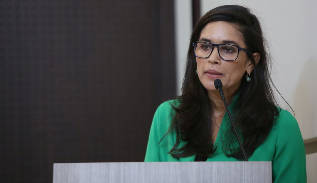 Plan Nacional de Desarrollo: Mucha carreta y poca plata para las mujeres en el PND