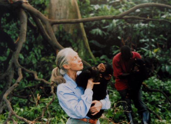 Jane Goodall Jane Goodall