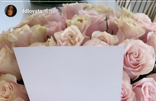 El regalo que se da Demi Lovato en el Día de la mujer: ¿Por qué se envía flores a sí misma Demi Lovato? El regalo que se da Demi Lovato en el Día de la mujer: ¿Por qué se envía flores a sí misma Demi Lovato?
