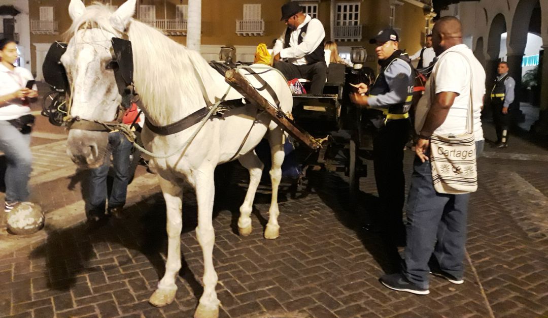 cocheros en Cartagena: Nueve comparendos durante control al servicio a cocheros en Cartagena