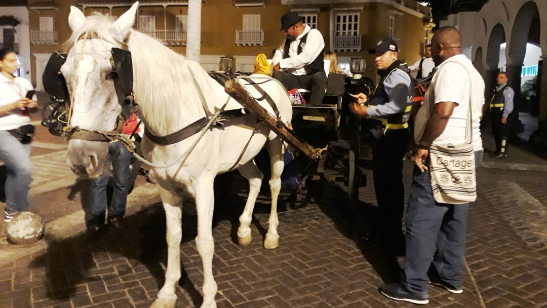 Nueve comparendos durante control al servicio a cocheros en Cartagena