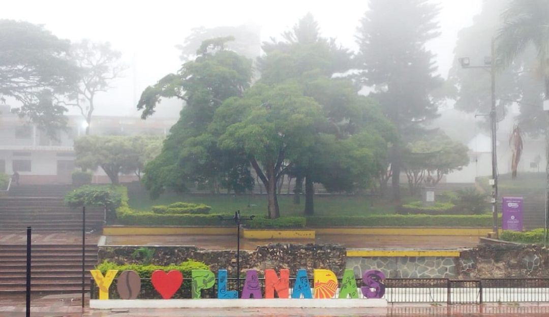 Terrorismo: Preocupan hechos violentos en Planadas, Tolima