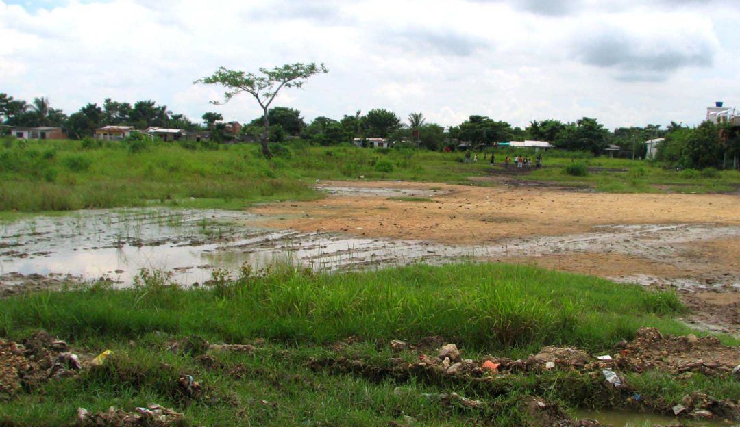 Parceleros en Montería denuncian abandono estatal