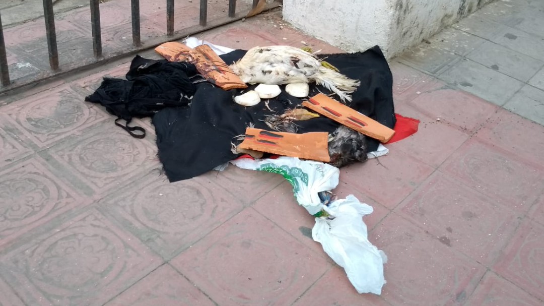 Rito de brujería en cementerio de Manga de Cartagena