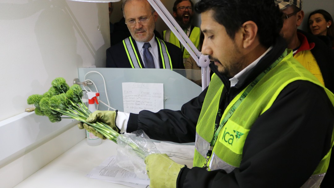 Exportar, una oportunidad para fortalecer el campo