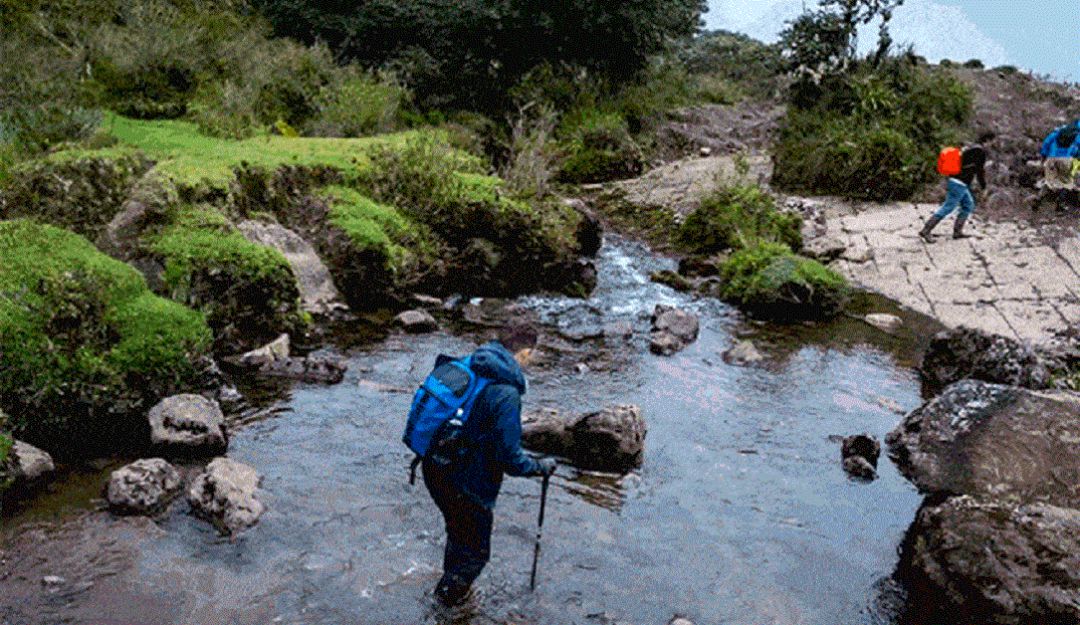 Ecologia RAPE: En busca de Guarda Páramos