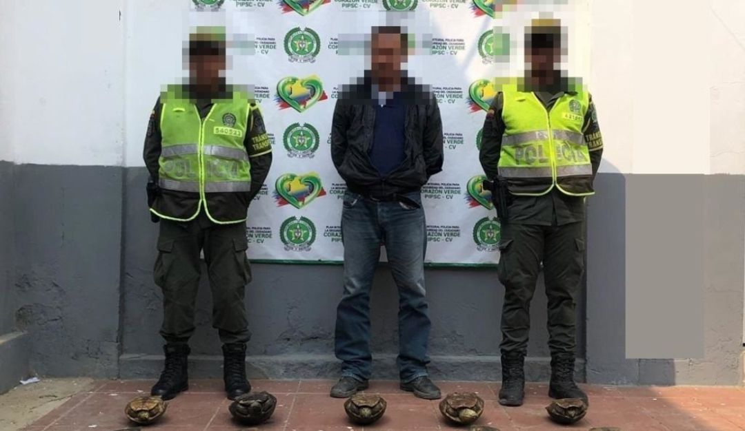 Hombre capturado 15 hicoteas vía Carmen de Bolívar – Plato: Lo sorprenden con 15 hicoteas en la vía Carmen de Bolívar – Plato