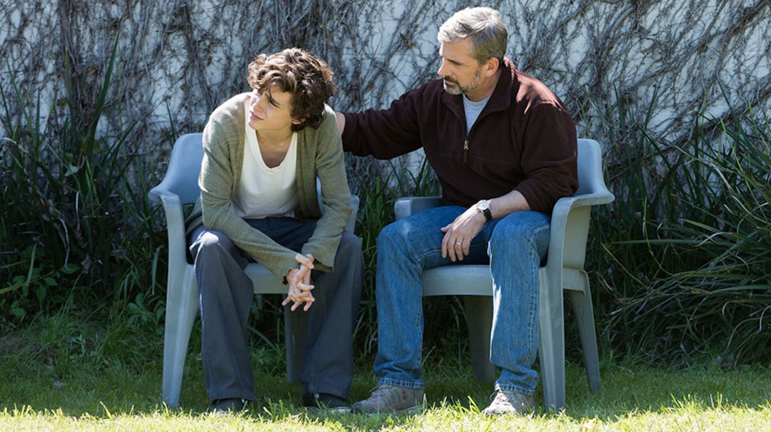 Beautiful Boy: Siempre Serás mi Hijo, pobre visión al infierno de la droga