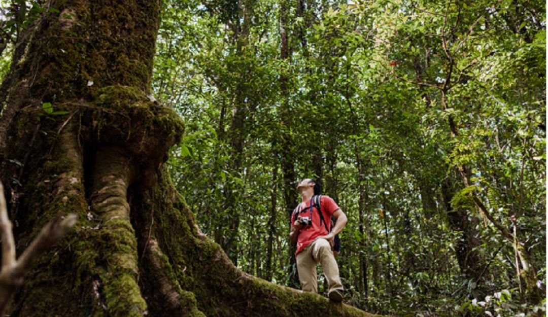 Colombia, es el el segundo país más biodiverso del planeta.