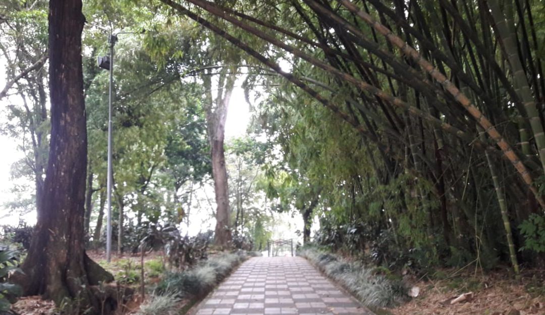 Parque El Bosque en Armenia, Quindío