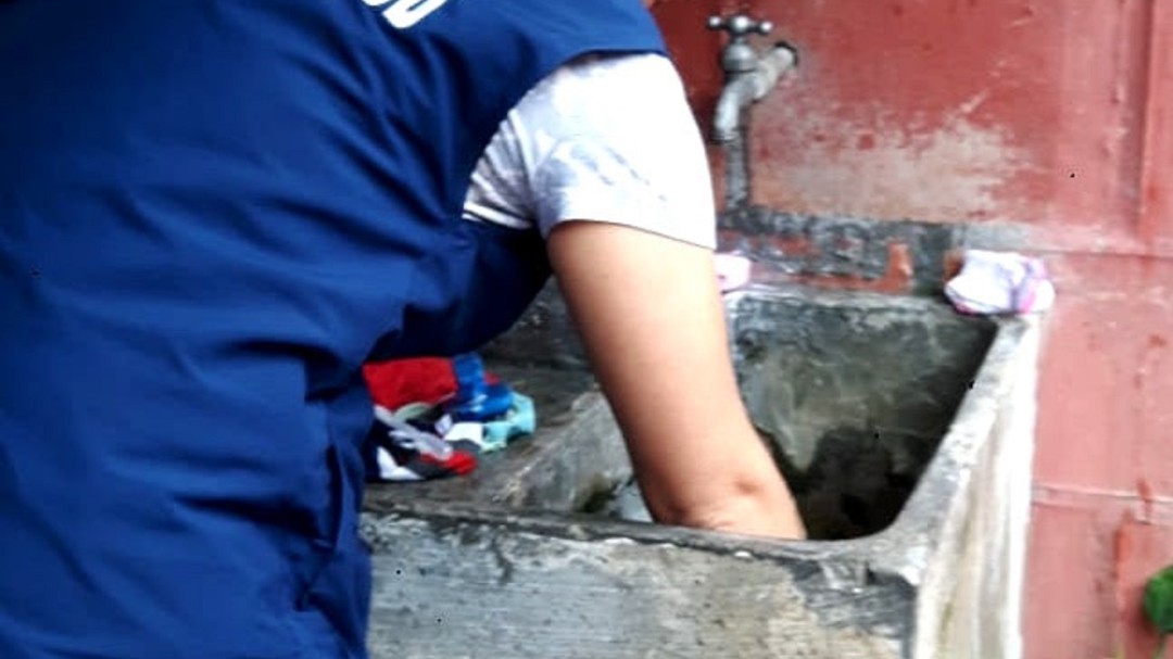 Criaderos de mosquito transmisor del dengue se han aumentado en Quindío
