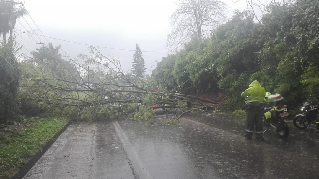 Vendaval azotó seis municipios del departamento del Quindío