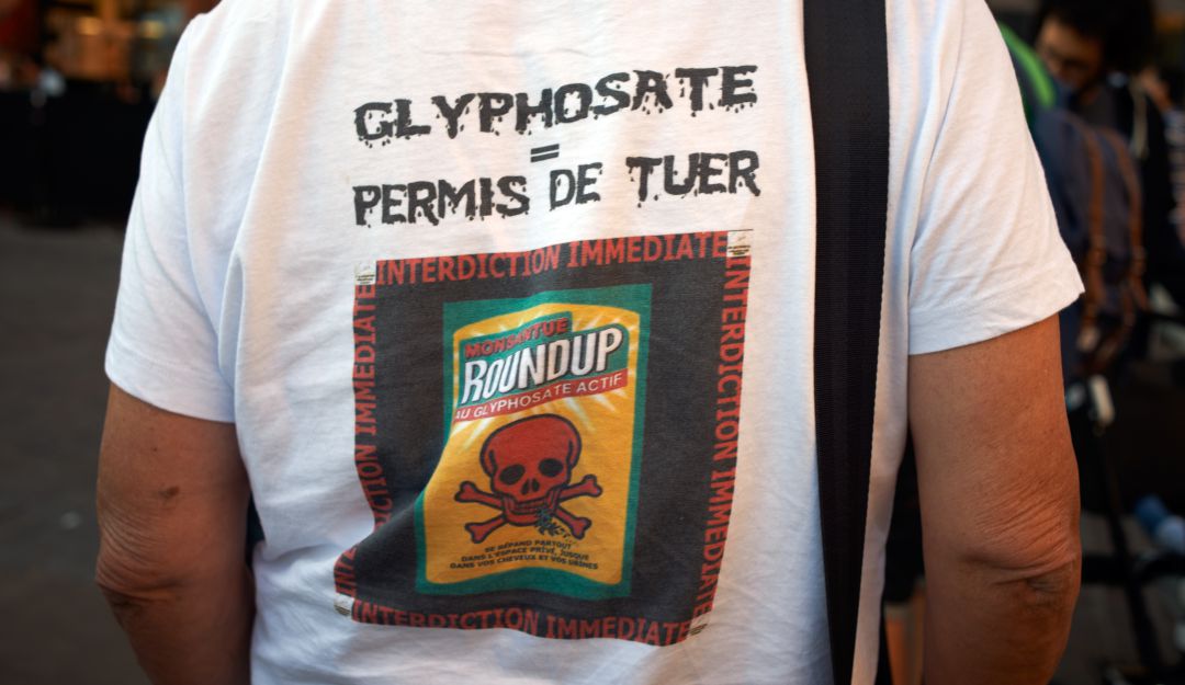 Erradicación de coca: Segundo revés contra glifosato de Monsanto