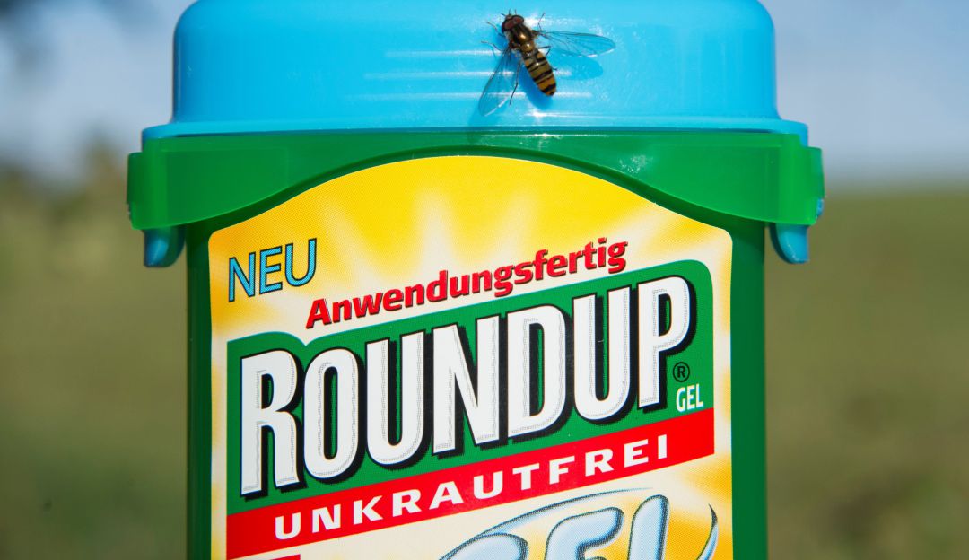 Foto de archivo del herbicida Roundup, que contiene glifosato.