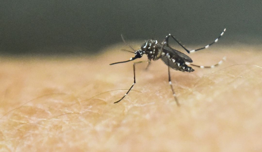 Virus del Zika en Colombia: Detectan nuevos efectos del Zika en niños expuestos al virus