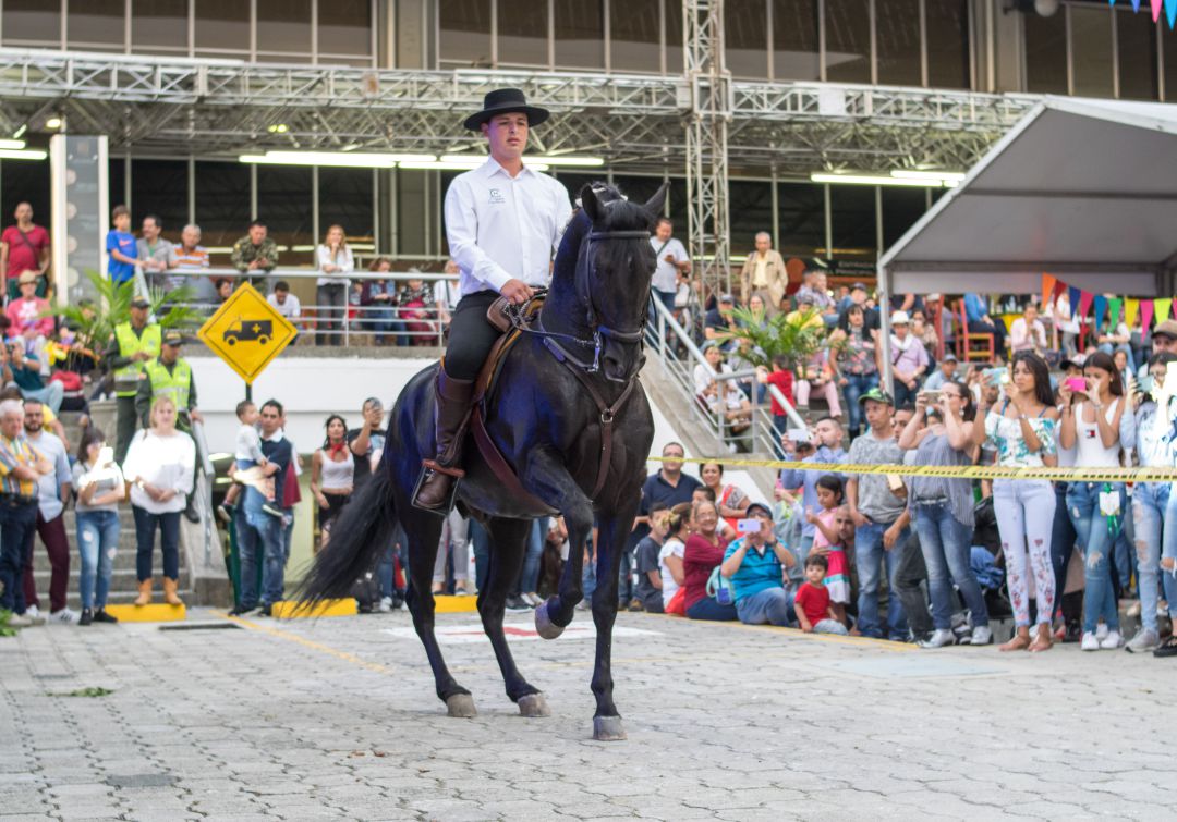 Expofinca 2019, una opción para este fin de semana en Medellín