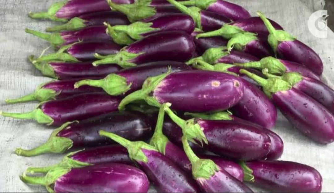 Berenjenales: La berenjena, un alimento medicinal y muy nutritivo