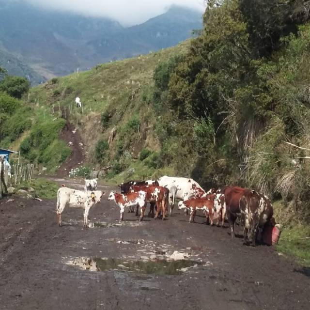 Caracol Radio Noticias, deportes y opinión en Colombia