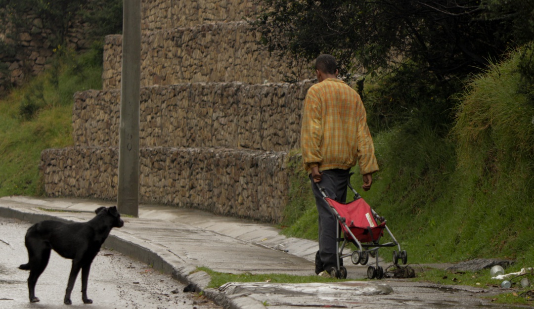 Habitantes Calle: Aumentan operativos para salvar habitantes de calle que viven en canales