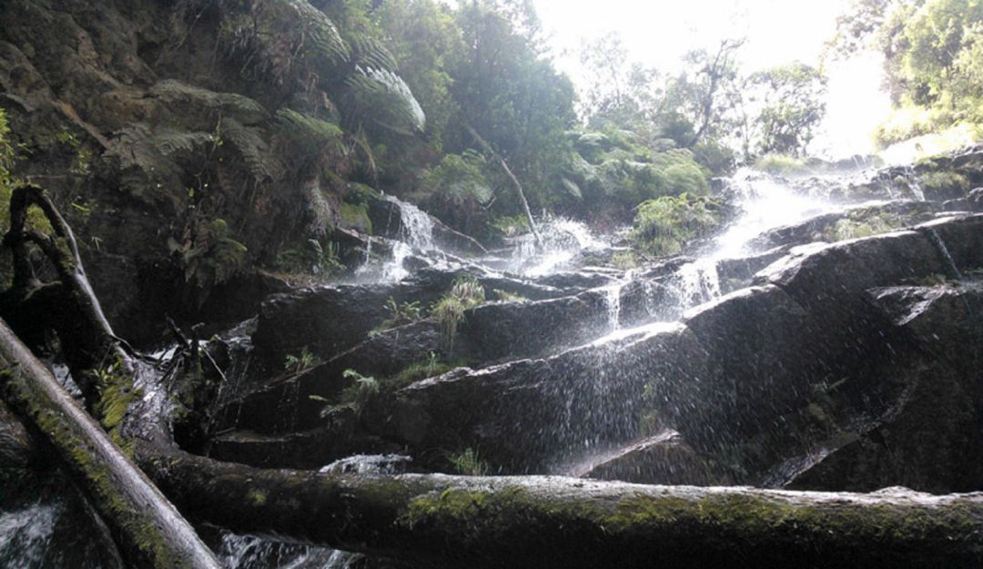 Quebrada la vieja: CAR exige requerimientos para reabrir el sendero de la quebrada la vieja