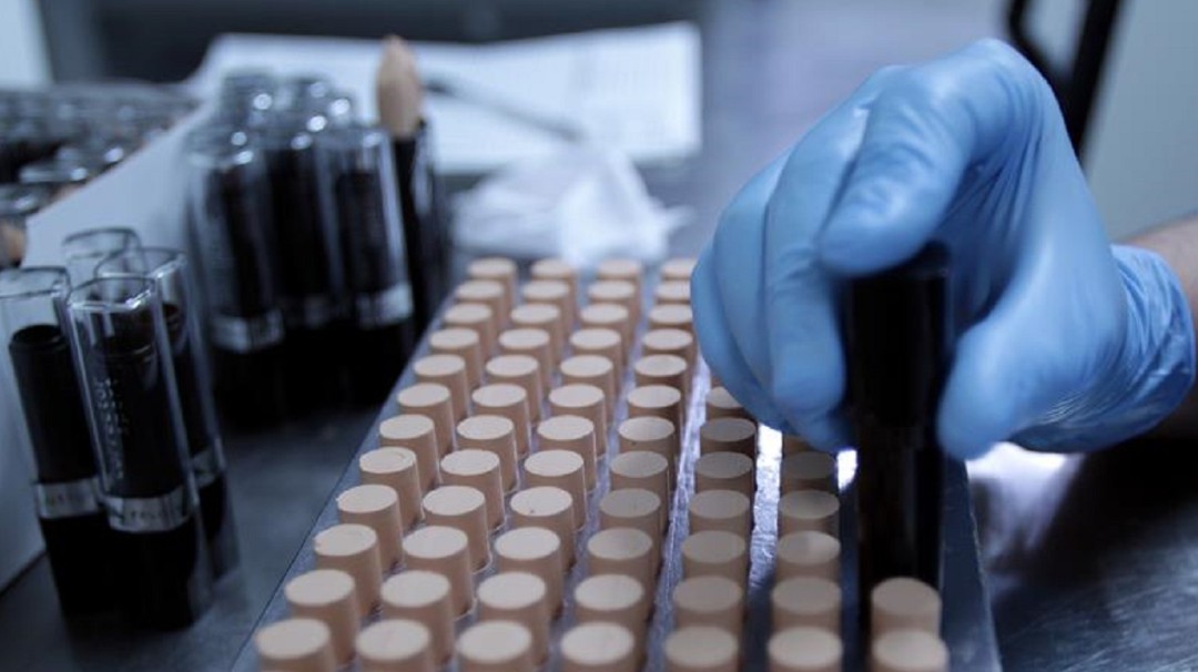 En junio estaría prohibido el uso de animales en experimentos cosméticos