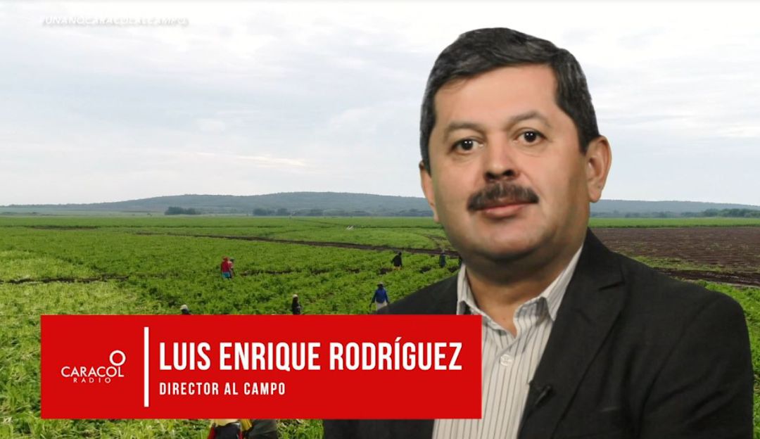 Primer aniversario de Al Campo