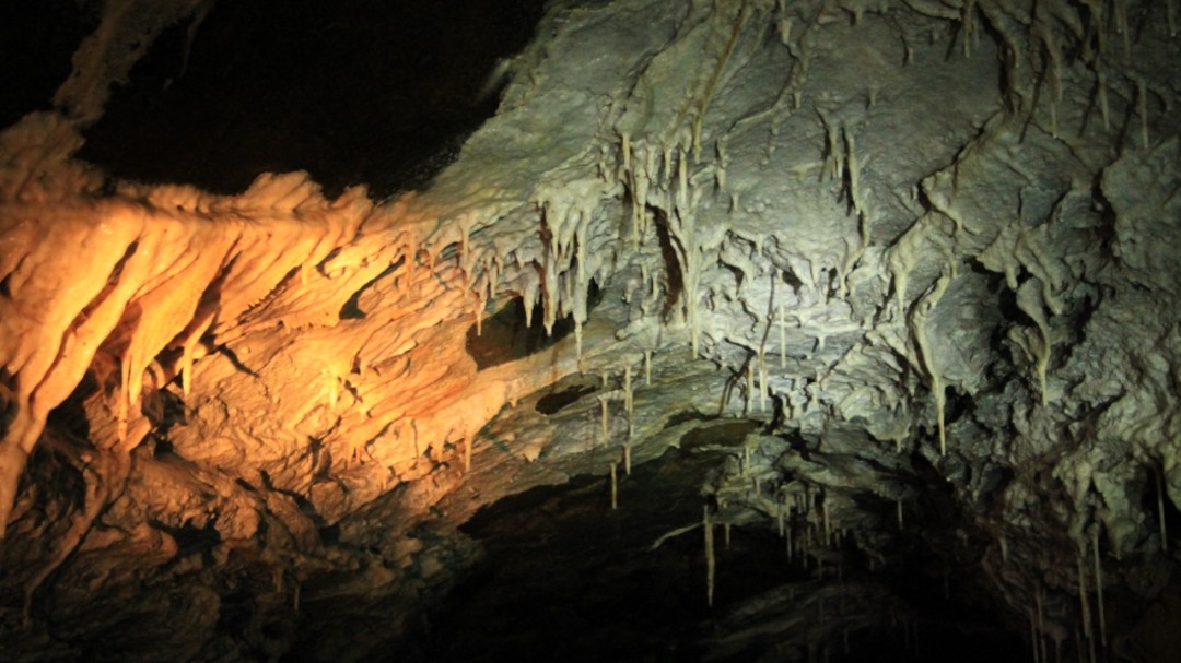 Parque Nacional Natural Cueva de los Guácharos, "Ecoturismo puro"