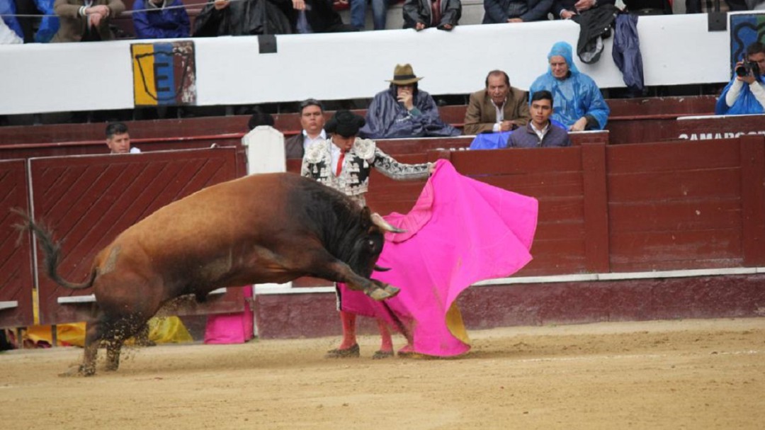 ¿Se deben prohibir las corridas de toros en el país?