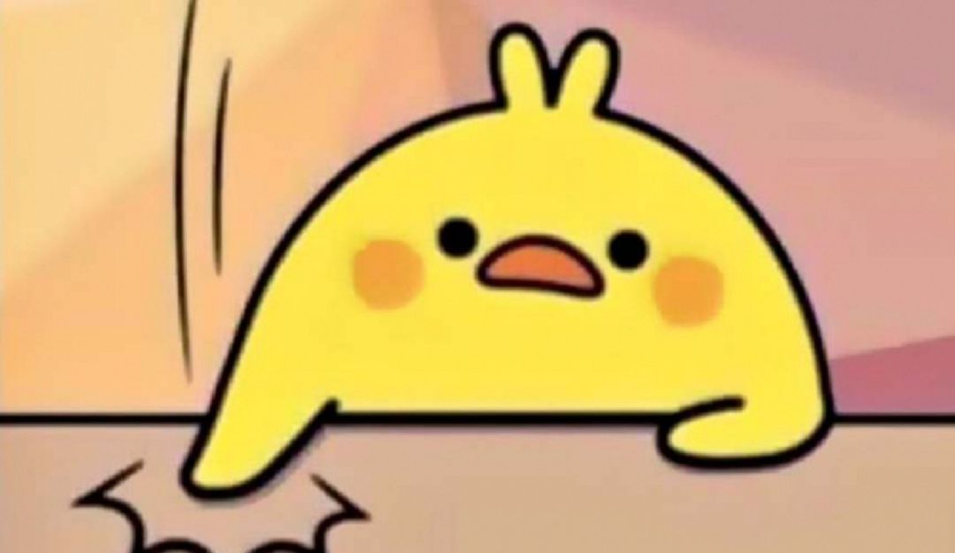 Así luce el pollito amarillo.