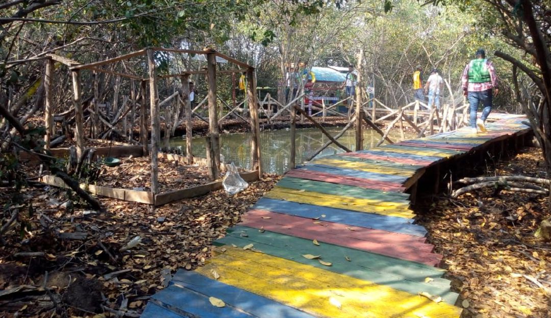 Impacto ambiental: Las Chambaculeras: recorrido ecoturístico por el Caño Juan Angola