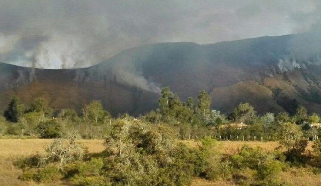 Siembra de arboles en Boyacá: Caracol Radio sembrará 1.000 árboles en cerros de Villa de Leyva, Boyacá