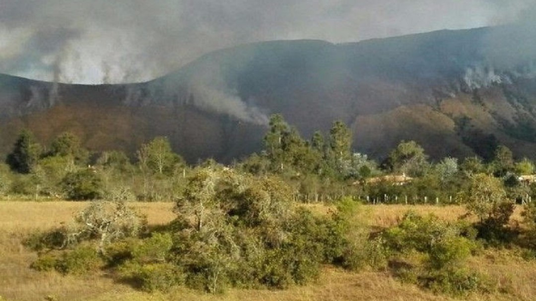 Caracol Radio sembrará 1.000 árboles en cerros de Villa de Leyva, Boyacá