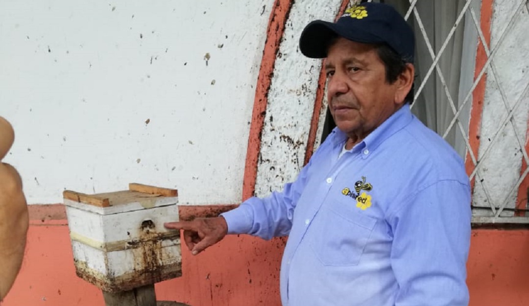 Apicultura: Miel de abejas para hacer cervezas, vinos y más