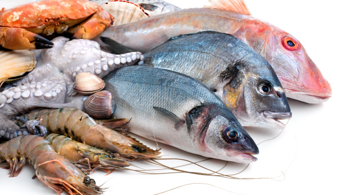 Oferta de pescado